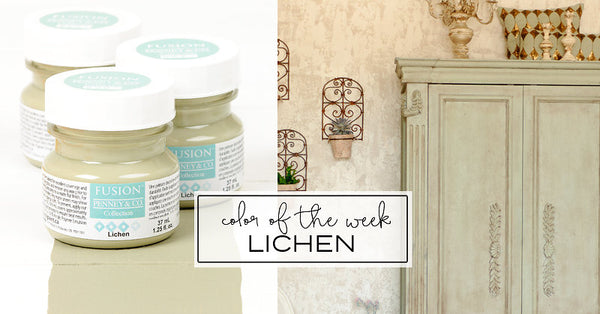 Lichen - Fusion Mineral Paint